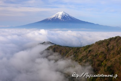 三ツ峠山より望む雲海と富士山