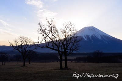 ふもとっぱらキャンプ場からの富士山