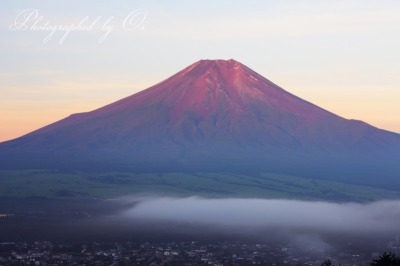 高座山より望む赤富士