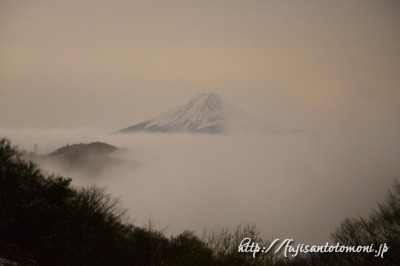 御坂峠から雲海富士山