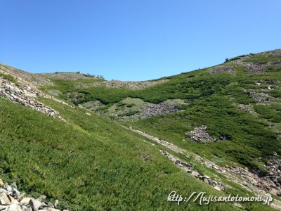 広河内岳直下、池ノ沢コースから稜線を見上げる