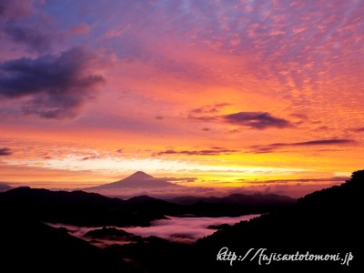 清水吉原より望む朝焼けと雲海と富士山