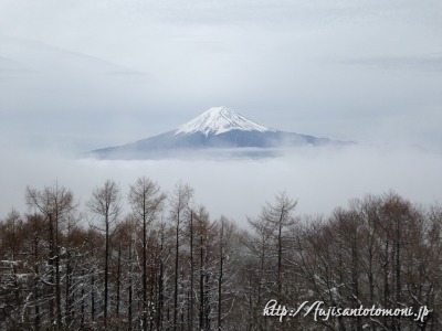 西川林道の富士山と雲海