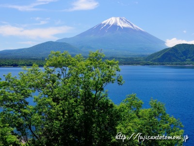 本栖湖より望む富士山
