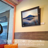 Comfit青山 - 写真展 『富士の花』 店内写真
