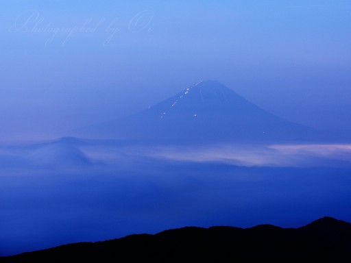 国師ヶ岳の雲海と夜景の写真