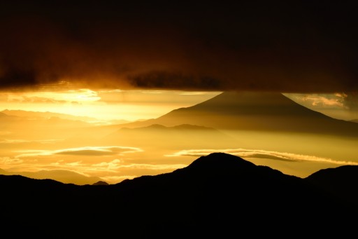 赤石岳から望む黄金の雲海と富士山の写真