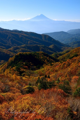 乙女高原の紅葉と富士山の写真