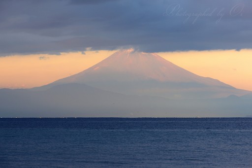三浦半島からの赤富士の写真