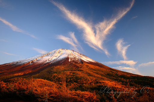 紅葉する富士山奥庭自然公園とフェニックス雲の写真
