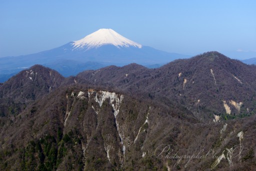 丹沢から見る富士山の写真