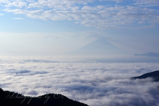 池の茶屋林道からの雲海と富士山の写真