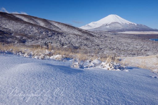 三国峠の雪景の写真