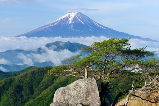 白谷丸より望む富士山と新緑と雲海の写真