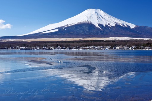 氷結した山中湖と富士山の写真