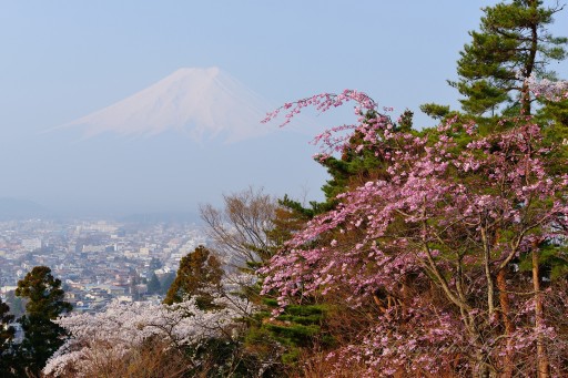 富士見孝徳公園の写真