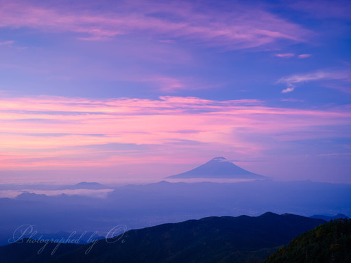 奥秩父・国師ヶ岳山頂より朝焼けの富士山を望むの写真