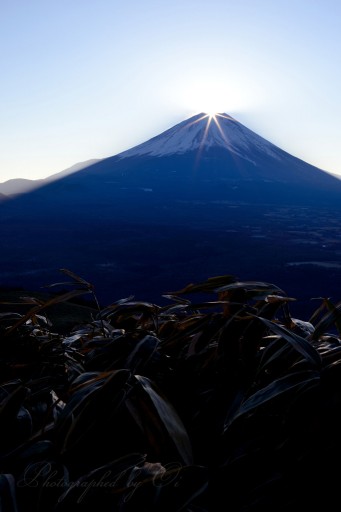 竜ヶ岳からのダイヤモンド富士の写真