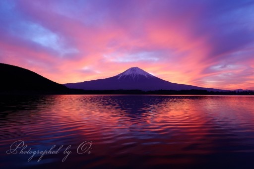 田貫湖より望む朝焼けの富士山の写真