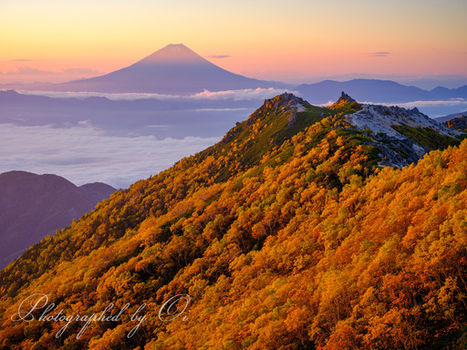 南アルプス・観音岳(鳳凰三山)の紅葉と富士山の写真