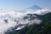 丸山林道からの富士山と雲海の写真 「踊り出す雲海」