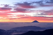 北岳から朝焼けと富士山の写真 「鮮烈の夜明け」