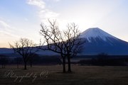 ふもとっぱらからの富士山の写真 「夜明ける草原」