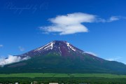 山中湖から夏の富士山の写真 「富士の妄想.｡o○」