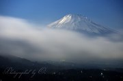 月光銀富士の写真 「月夜の秘め事」