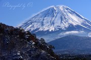 精進湖より望む富士山と雪景色の写真 「雪晴れの景」