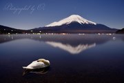 山中湖の眠る白鳥と夜の富士山の写真 「眠り姫」