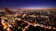 東京都庁からの夜景の写真 「With The City」