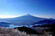 御坂黒岳から望む富士山の写真 「御坂の頂で」