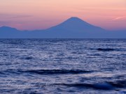 相模湾と夕焼けの富士山の写真 「鮮やかに暮れる」
