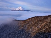 三つ峠の雲海と富士山の写真 「光を浴びて」