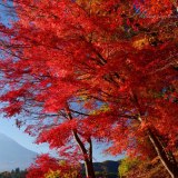 河口湖の紅葉と富士山の写真 「燃え上がる炎」