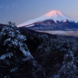 二十曲峠の雪景色と紅富士の写真 「粉雪の朝」