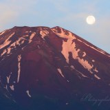赤富士と月のパール富士の写真 「赤肌に舞い降りる」
