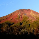 滝沢林道の赤富士の写真 「朝日を浴びて」