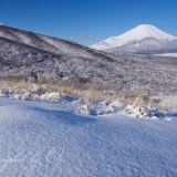 三国峠の雪景の写真 「雪原の美」