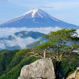 白谷丸より望む富士山と新緑と雲海の写真 「初夏の薫り」