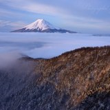 三つ峠の雲海と富士山の写真 「光を浴びて」
