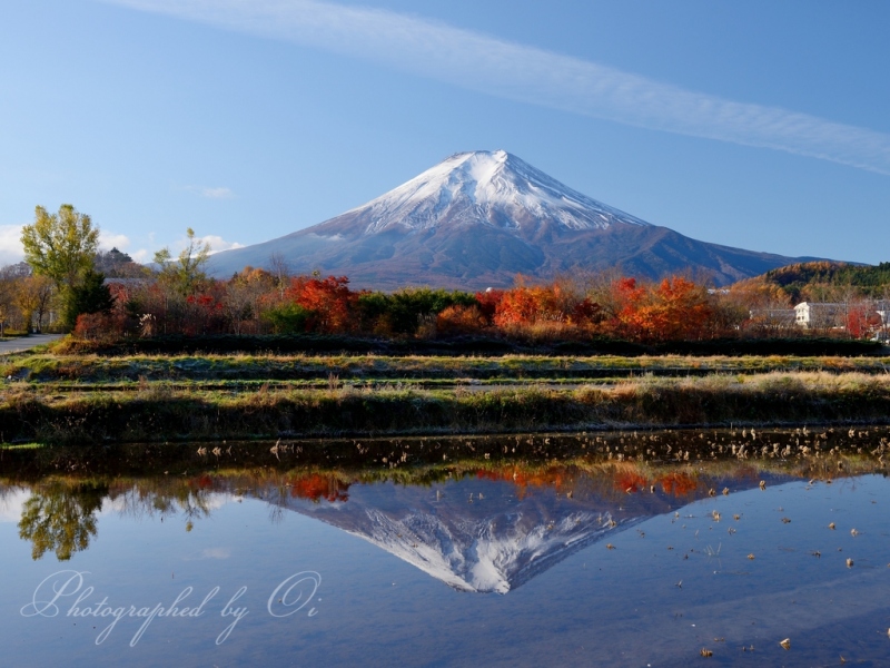 富士吉田市の紅葉と水田に映る逆さ富士