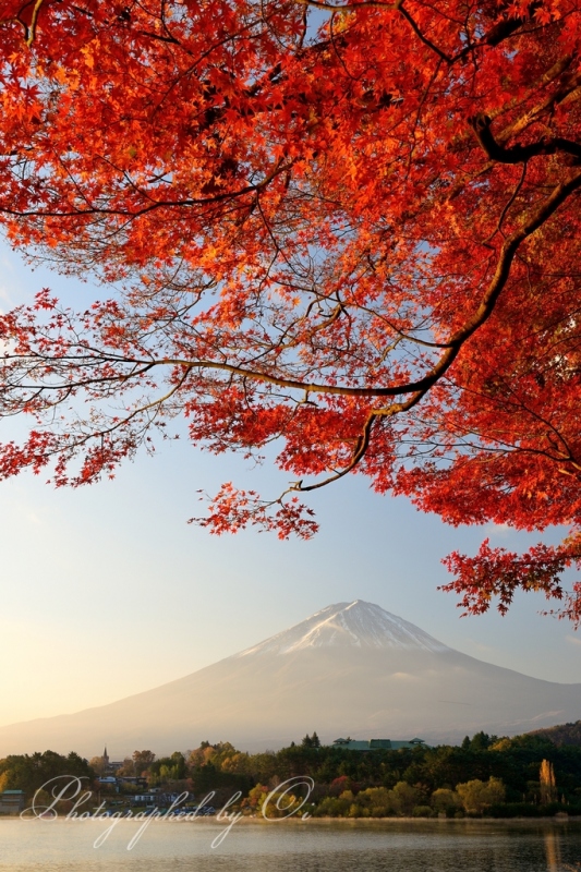 河口湖より望む紅葉と富士山
