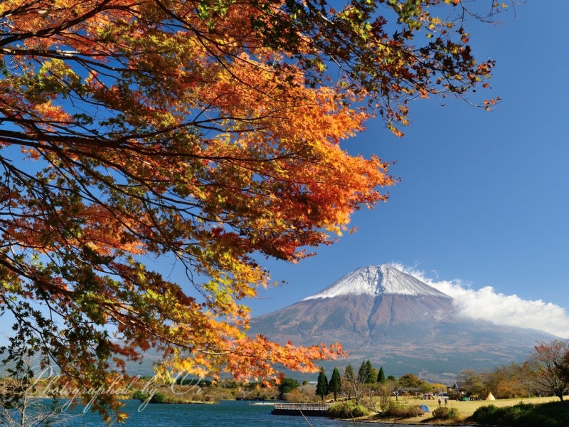 田貫湖より望む紅葉と富士山