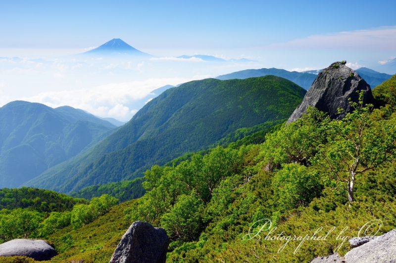 南アルプス薬師岳より望む新緑と富士山