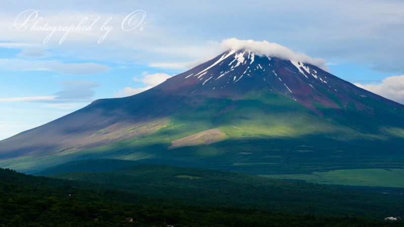 パノラマ台より望む富士山