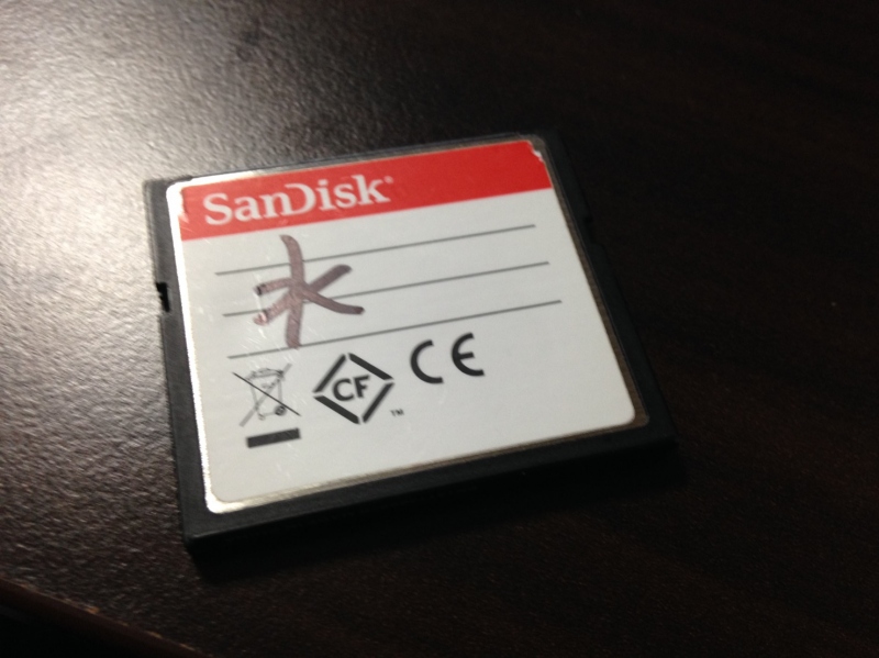 水没したSanDisk コンパクトフラッシュ(CFカード)