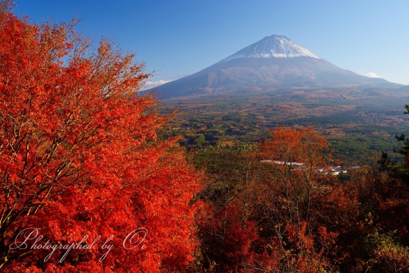 紅葉台より望む紅葉と富士山