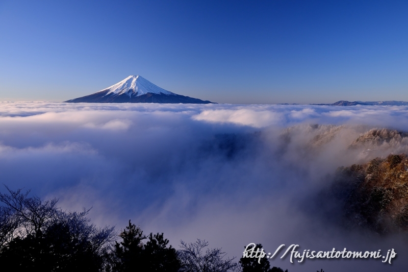 三ッ峠山から望む富士山／Photo by 富士山写真家 オイ